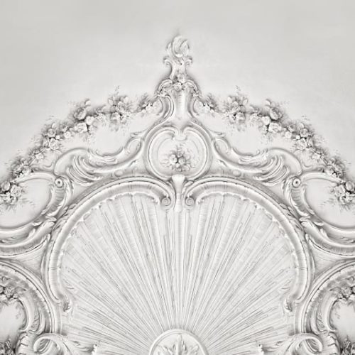 R15481_image1