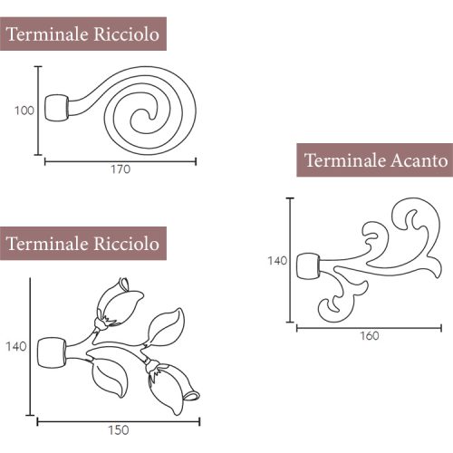 flaminia terminali